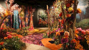 梦幻花卉艺术展览空间