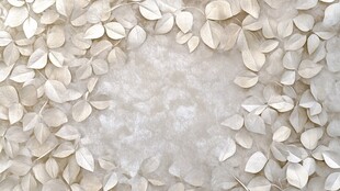 白色叶片铺就的唯美背景