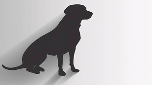 黑色坐姿狗狗剪影图