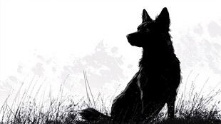 坐于草地的狗的剪影