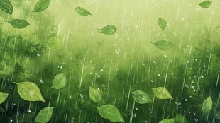 雨中绿叶纷飞的清新景象