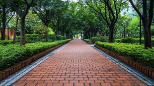 红砖林荫道 静谧自然之景