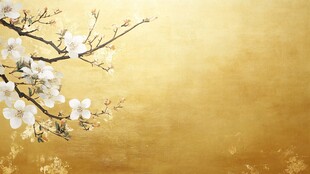 金色背景下的绽放白梅花