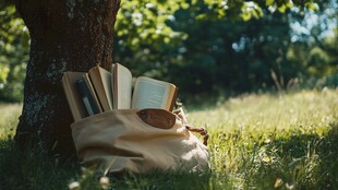 树下背包中的书香时光