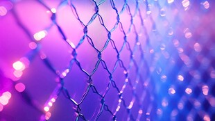 梦幻紫蓝交织的闪烁网幕