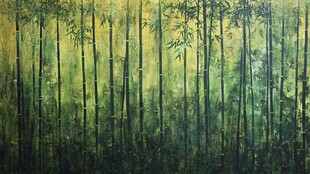 翠绿竹林 自然诗意景象