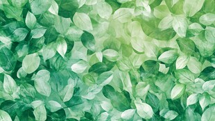 清新绿叶背景纹理图案