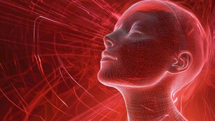 红色线条勾勒的虚拟头像