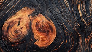 木纹之美 独特树结纹理特写