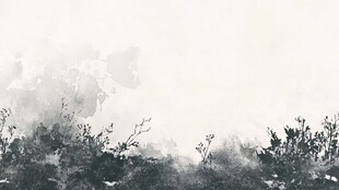 水墨风景图 朦胧自然意境