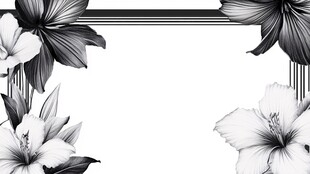 黑白花卉边框装饰图案