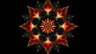 绚丽曼陀罗花卉图案