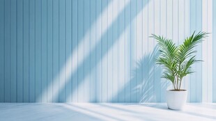 蓝墙绿植 室内清新一角