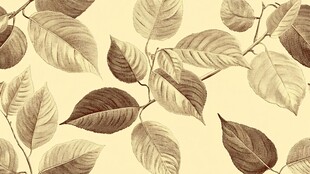 复古风树叶纹理图案背景