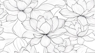 莲花线描图案