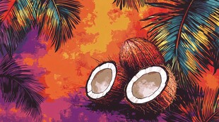 热带风情中的椰子与棕榈树