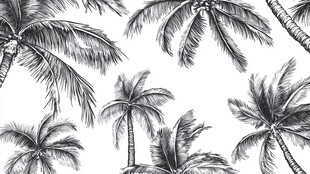 黑白手绘风热带棕榈树图案