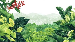 热带雨林植物景观插画