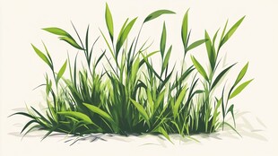 翠绿草丛插画