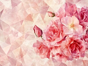 粉色玫瑰与几何背景图案