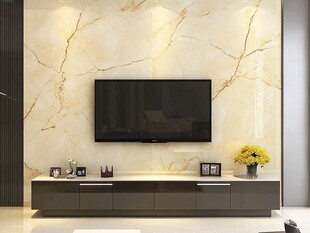 简约大理石电视墙家居场景