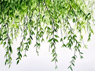 垂柳摇曳的清新绿意画面