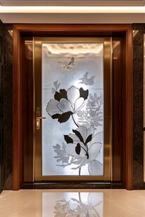 精致雕花入户门