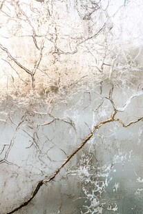 冬日冰覆树枝梦幻景象