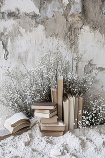 旧书与雪柳营造静谧氛围