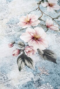 淡蓝底上绽放的粉嫩花朵