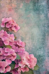 粉色绣球花装饰复古背景