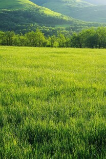 绿野青山间的自然美景