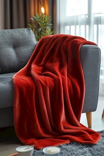 红色毛毯装点温馨客厅角落