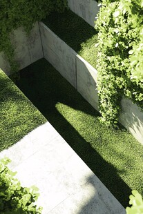 庭院绿植景观光影之美