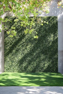 绿意盎然的户外植物景观墙