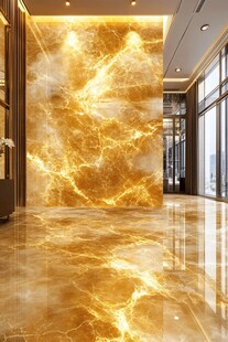 奢华金色大理石大厅墙面