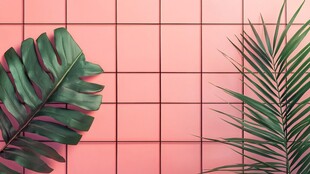 粉色背景上的两片绿植