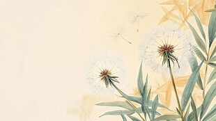蒲公英插画 清新自然之美