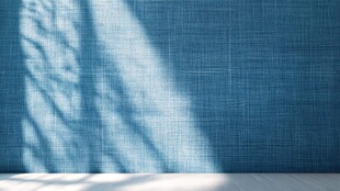 蓝色墙面上的光影树影