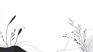 黑白手绘风植物简约插画