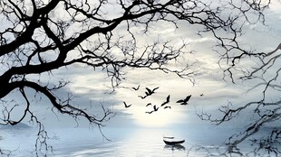 寒江孤舟飞鸟枯树之景