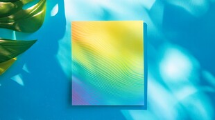 炫彩渐变方形图案与绿叶