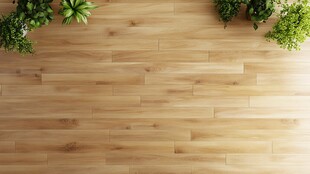 木质地板配绿植清新画面