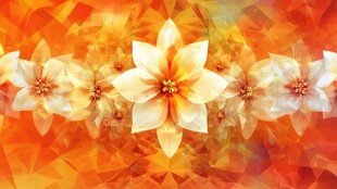 橙黄背景下的美丽花卉