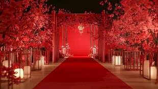 中式浪漫婚礼红色梦幻场景