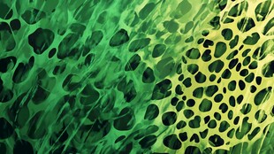 绿色豹纹纹理背景图案