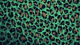绿色豹纹图案布料纹理