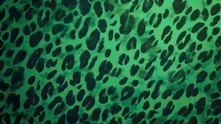 绿色豹纹纹理图案