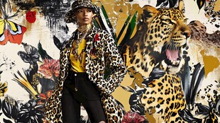 豹纹时尚穿搭与野性背景