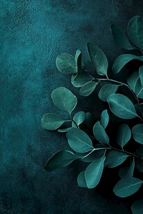 青绿色调下的清新桉树叶